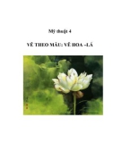 Mỹ thuật 4 - VẼ THEO MẪU: VẼ HOA –LÁ