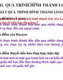 Giáo án điện tử môn sinh học: Sinh học lớp 12- Quá trình hình thành và phát triển loài