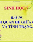 Bài giảng Sinh học 9 bài 19: Mối quan hệ giữa gen và tính trạng