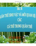 Bài giảng Sinh học lớp 12 bài 36: Quần thể sinh vật và mối quan hệ giữa các cá thể trong quần thể