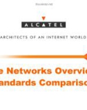 Mobile Networks Overview & 2G Standards Comparison