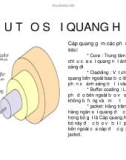 Bài giảng Sợi quang học