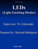 LEDs_ Light Emmitting Diodes