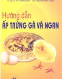 Hướng dẫn ấp trứng và ngan