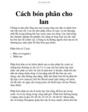 Cách bón phân cho lan