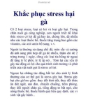 Khắc phục stress hại gà