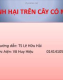 Báo cáo: Bệnh hại trên cây có múi