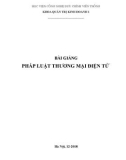 Bài giảng Pháp luật thương mại điện tử: Phần 2