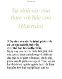 Sự sinh sản của thực vật bậc cao (Hạt trần)