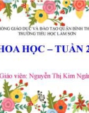 Bài giảng Khoa học lớp 4 - Bài Nóng, lạnh và nhiệt độ (Tiết 1)