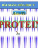 Bài giảng Hóa học 9 bài 53: Protein