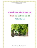 Chủ đề: Tìm hiểu về thực vật - Đề tài: Cây xanh trên trái đất - Nhóm lớp: Lá