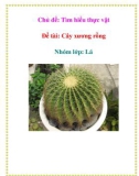 Chủ đề: Tìm hiểu thực vật - Đề tài: Cây xương rồng - Nhóm lớp: Lá