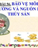 Bài giảng Công nghệ 7 bài 56: Bảo vệ môi trường và nguồn lợi thủy sản