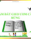 Bài giảng Công nghệ 7 bài 23: Làm đất gieo ươm cây rừng