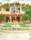 Bài giảng Tiếng việt 4 tuần 21 bài: Cấu tạo bài văn miêu tả cây cối