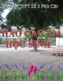 Bài giảng Sinh học 12 - Bài 17: Cấu trúc di truyền của quần thể (Trường THPT Số 2 Phù Cát)