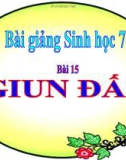 Bài giảng Sinh học 7 bài 15: Giun đất