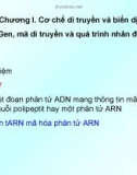 Giáo án điện tử sinh học: Sinh học lớp 12-Chương I. Cơ chế di truyền và biến dị Bài 1- Gen, mã di truyền và quá trình nhân đôi ADN