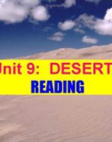 Bài giảng Tiếng Anh 12 - Unit 9: Deserts (Reading)