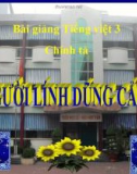 Bài giảng điện tử Tiếng việt 3: Bài Chính tả: Nghe, viết: Người lính dũng cảm - GV.Hoàng Thi Thơ