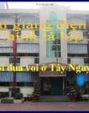 Bài Chính tả: Nghe, viết: Hội đua voi ở Tây Nguyên - Bài giảng điện tử Tiếng việt 3 - GV.Hoàng Thi Thơ