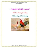 Chủ đề: Bé biết con gì? - Đề tài: Con gà trống - Nhóm lớp: 25-36tháng