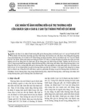 Các nhân tố ảnh hưởng đến giá trị thương hiệu của khách sạn 4 sao & 5 sao tại Thành phố Hồ Chí Minh