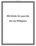 Đồi Sôcôla: Kỳ quan độc đáo của nước Philippines