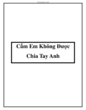 Truyện ngắn Cấm Em Không Được Chia Tay Anh