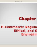 Lecture Electronic Commerce (E-Commerce) - Chapter 14: E-Commerce: Regulatory, Ethical, and Social Environments