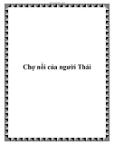 Chợ nổi của người Thái