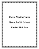 Chiêm Ngưỡng Vườn Bướm Đa Sắc Màu ở Phuket Thái Lan