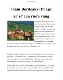 Thăm Bordeaux (Pháp): xứ sở của rượu vang