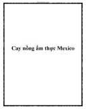 Cay nồng ẩm thực Mexico