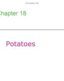 Lecture Professional cooking (6/e) - Chapter 18: Potatoes