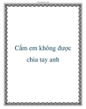 Cấm em không được chia tay anh