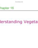 Lecture Professional cooking (6/e) - Chapter 16: Understanding vegetables