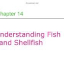 Lecture Professional cooking (6/e) - Chapter 14: Understanding fish and shellfish