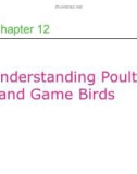 Lecture Professional cooking (6/e) - Chapter 12: Understanding poultry and game birds