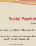 Lecture Social Psychology - Chapter 10: Aggression: Intending to Hurting others