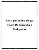 Khám phá vườn quốc gia Tsingy De Bemaraha ở Madagascar