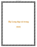 Hạ Long đẹp cả trong mưa