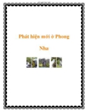 Phát hiện mới ở Phong Nha