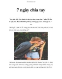 7 ngày chia tay