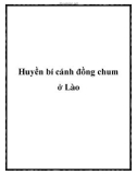 Huyền bí cánh đồng chum ở Lào