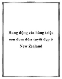 Hang động của hàng triệu con đom đóm tuyệt đẹp ở New Zealand.Đến New Zealand, du khách gần xa không thể bỏ qua điểm du lịch hang động đom đóm Waitomo lung linh với hàng triệu con đom đóm phát quang tỏa ánh sáng tuyệt đẹp