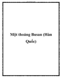 Một thoáng Busan (Hàn Quốc)