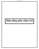 Màu nắng phía chân trời