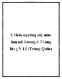 Chiêm ngưỡng sắc màu hoa oải hương ở Thung lũng Y Lê (Trung Quốc)